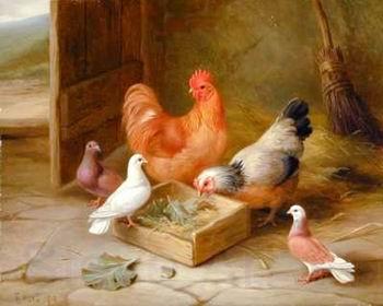 unknow artist Poultry 093 France oil painting art